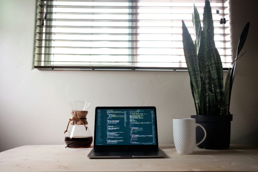 Luftreinigende Pflanzen schaffen ein gesundes Raumklima im Büro oder zu Hause. Bild: John Salzarulo, Unsplash