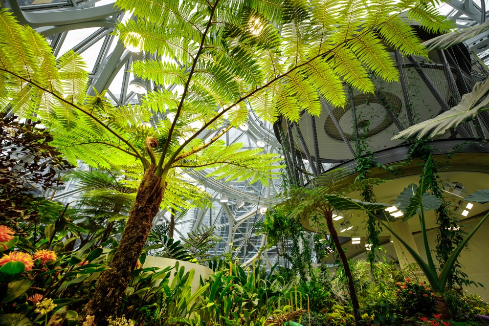 Welcome to the Jungle: Arbeiten unter Bäumen