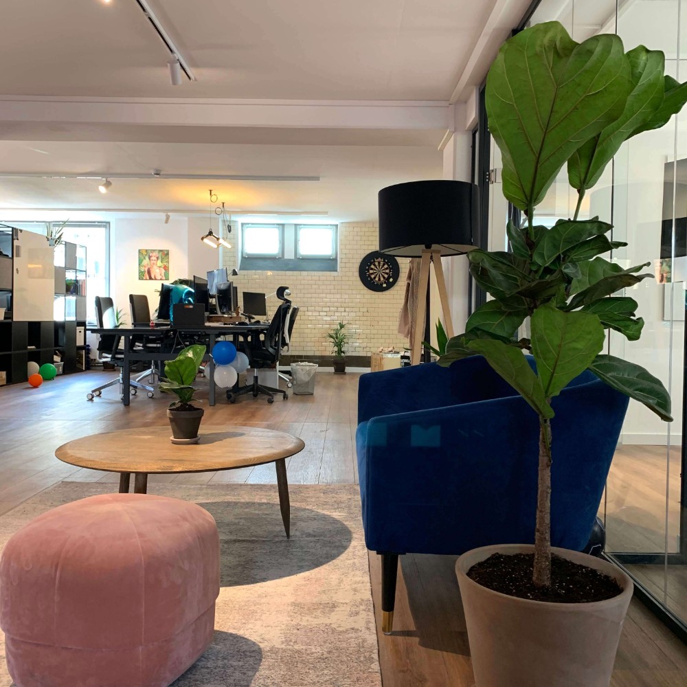 Start-ups fürs Büro: Plantclub aus Berlin