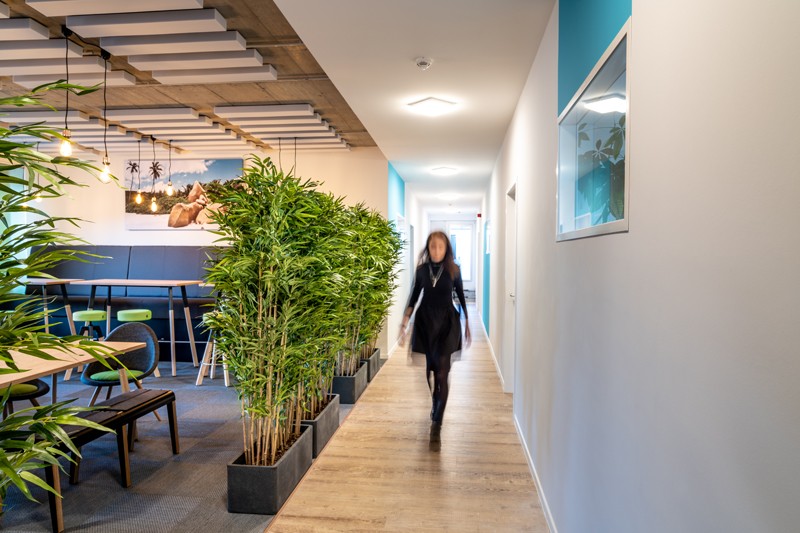 Künstliche Pflanzen sind pflegeleicht und erzeugen ein wohliges Gefühl im Office. Hier: Bambus 1800 von Götessons. Abbildung: Götessons
