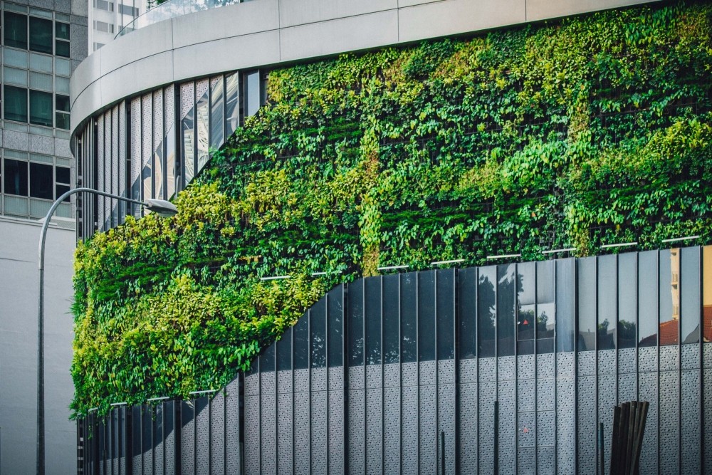 Die Begrünung von modernen Bürogebäuden gehört zunehmend zum ökologischen Standard. Abbildung: Lily Banse, Unsplash